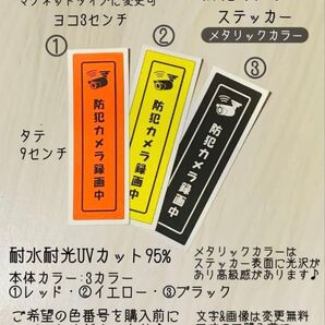 防犯カメラステッカー メタリック3カラー展開 タテ向きシンプル♪ ハンドメイド