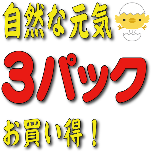 ●● 元気 お得3パック (送料無料 サンプルあり 元気 やる気 トランス状態)