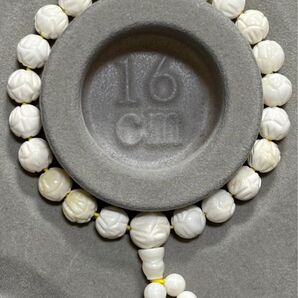 シャコ貝 8mm 内径16cm ブレスレット