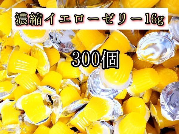高タンパク 濃縮イエローゼリー16g 300個 クワガタ カブトムシ クワカブ オオクワガタ プロゼリー ドルクスゼリー すこやかゼリー