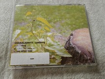 レンタル落ち：帯付 SHAKALABBITS Ladybug 国内盤CDシングル_画像2