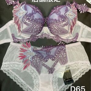 新品 ワコール サルート 店舗限定 79G 王家の紋章 D65 ローライズM
