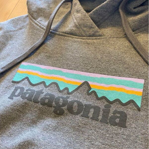 Patagonia パタゴニア パステル p-6ロゴ アップライザル フーディ パーカー 39557 XS コットン