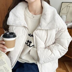 moment+ マットポリエステルエコダウン