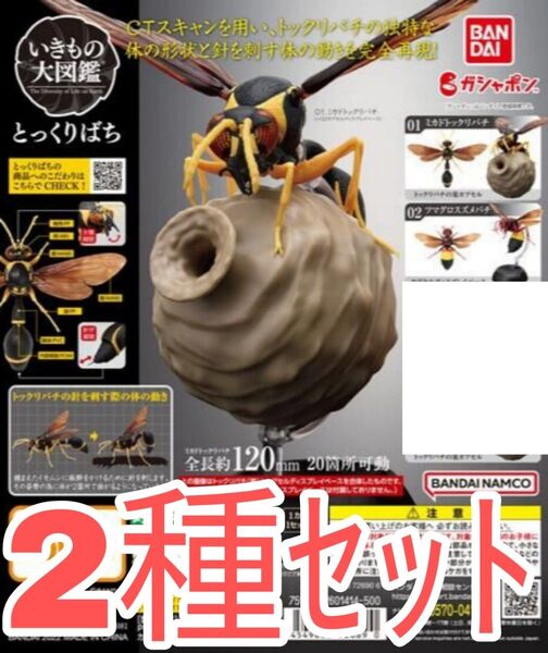 2種セット【新品未使用】いきもの大図鑑 とっくりばち スズメバチ 蜂 ハチ ガチャガチャ ガシャポン カプセルトイ フィギュア