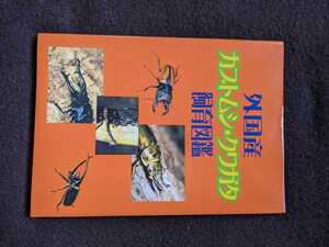 ヤフオク クワガタ 標本 本 雑誌 の中古品 新品 古本一覧 ヤフオク クワガタ 標本 本 雑誌 の中古品 新品 古本一覧