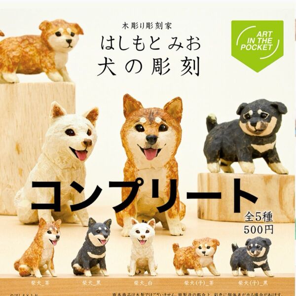 はしもとみお 犬の彫刻 全5種 コンプリート 犬 柴犬 フィギュア ガチャ