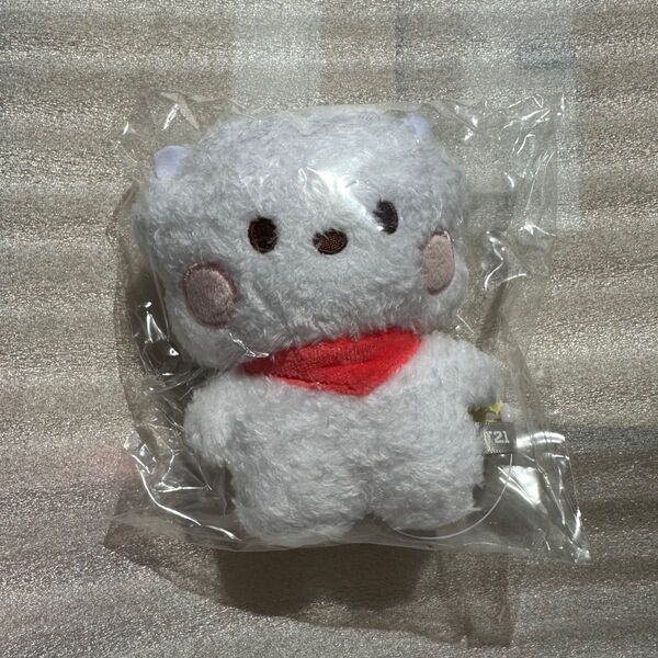 bt21 RJ
