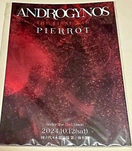 ANDROGYNOS パンフレット / PIERROT・ DIR EN GREY ヴィジュアル系