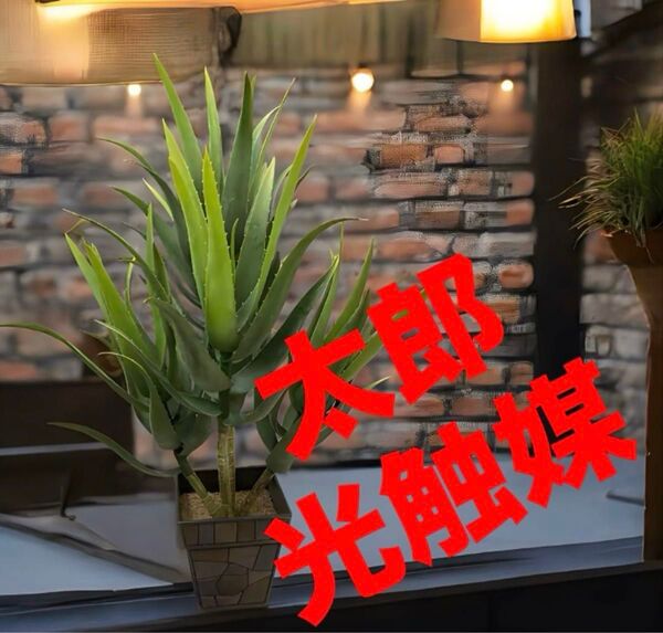 光触媒 人工観葉植物 ウォールグリーン フェイクグリーン アロエ特大