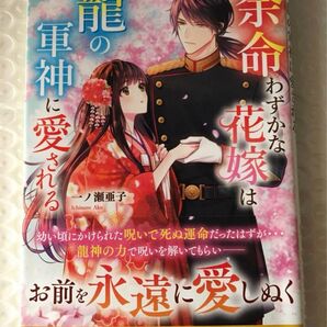レディース文庫 2冊セット