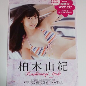 柏木由紀 スプリング スペシャル ポスター