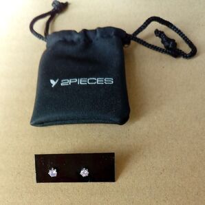 サージカルステンレス製ピアス レディース ジルコニア