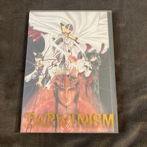 DARWINISM INTERFACE 希少