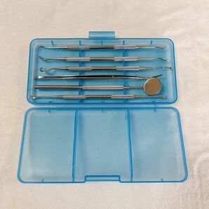 歯石取り 歯用ツール6点セット 歯垢 ヤニとり 歯石とり 歯 しこう取り ケース付き