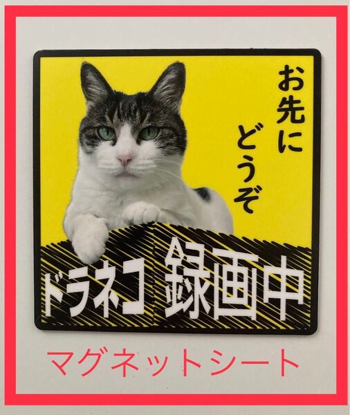 【煽り運転防止】ドライブレコーダー録画中 マグネットタイプ 屋外OK UVカット 高耐候材料使用 威圧感無し お先にどうぞ