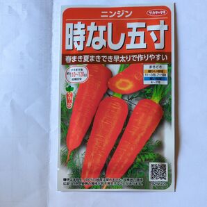 人参 時なし五寸