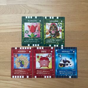 カード迷路 ぐるり森 大冒険 カード まとめ売り