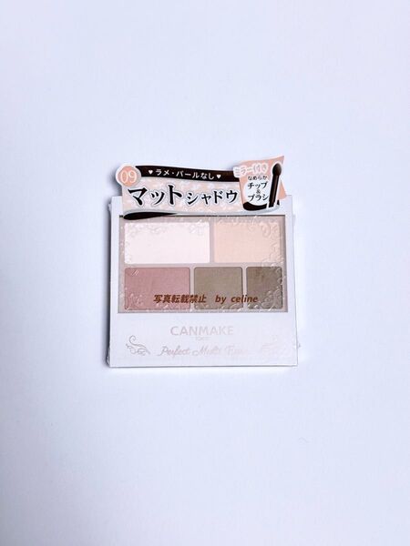 【先行発売】キャンメイク パーフェクトマルチアイズ 09 ロゼパンナコッタ