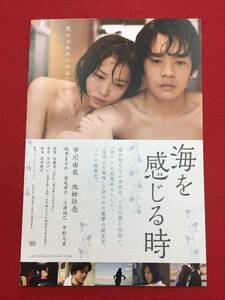 59814試写状『海を感じる時』安藤尋　市川由衣　池松壮亮　阪井まどか　高尾祥子　三浦誠己　中村久美