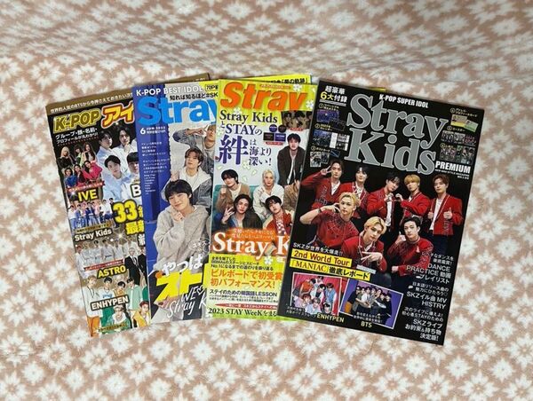 - 雑誌名4点 Stray Kids-