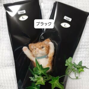 【クーポン利用で200円引】CSソックス■Lサイズ ショート丈/ブラック2足セット