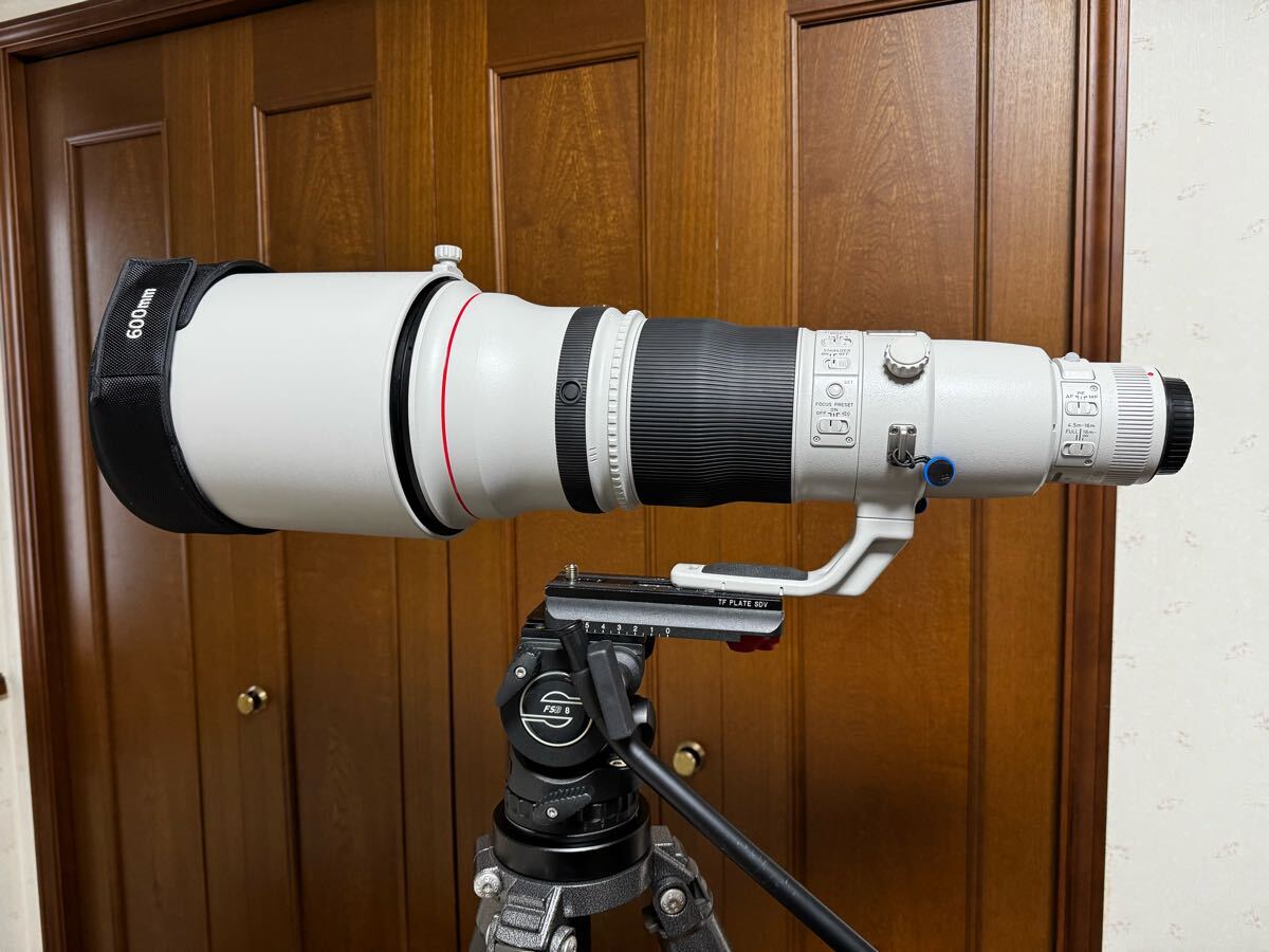 2025年最新】Canon 600mm F4レンズ - プロ仕様の高性能望遠 2025年最新】Canon 600mm F4レンズ - プロ仕様の高性能望遠