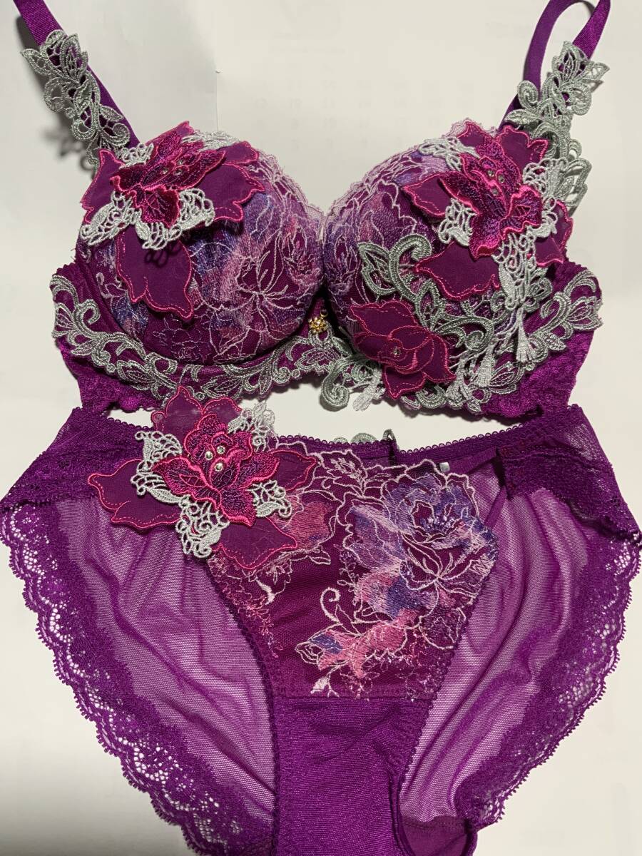 ワコールサルート E６５　未使用 Yahoo!オークション -「ワコールサルートe65」の落札相場・落札価格