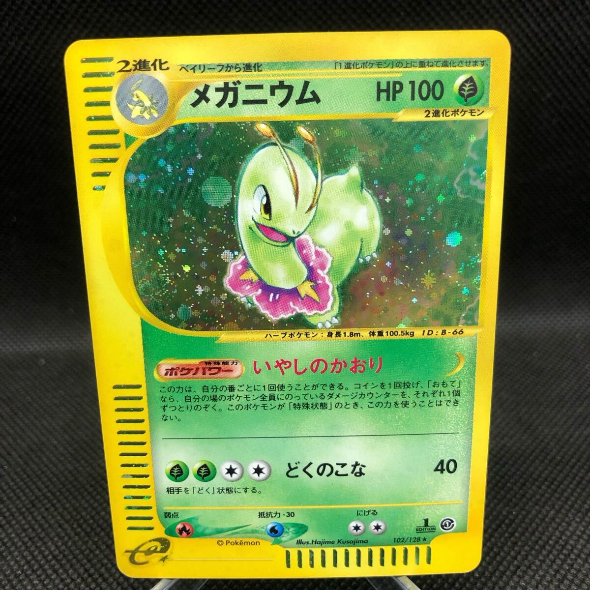 2025年最新】Yahoo!オークション -ポケモンカード メガニウムの 2025年最新】Yahoo!オークション -ポケモンカード メガニウムの