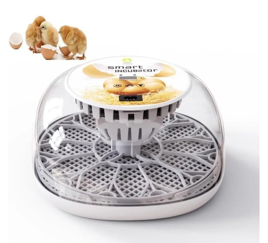 2025年最新】Yahoo!オークション -孵卵器(鳥)の中古品・新品・未 2025年最新】Yahoo!オークション -孵卵器(鳥)の中古品・新品・未