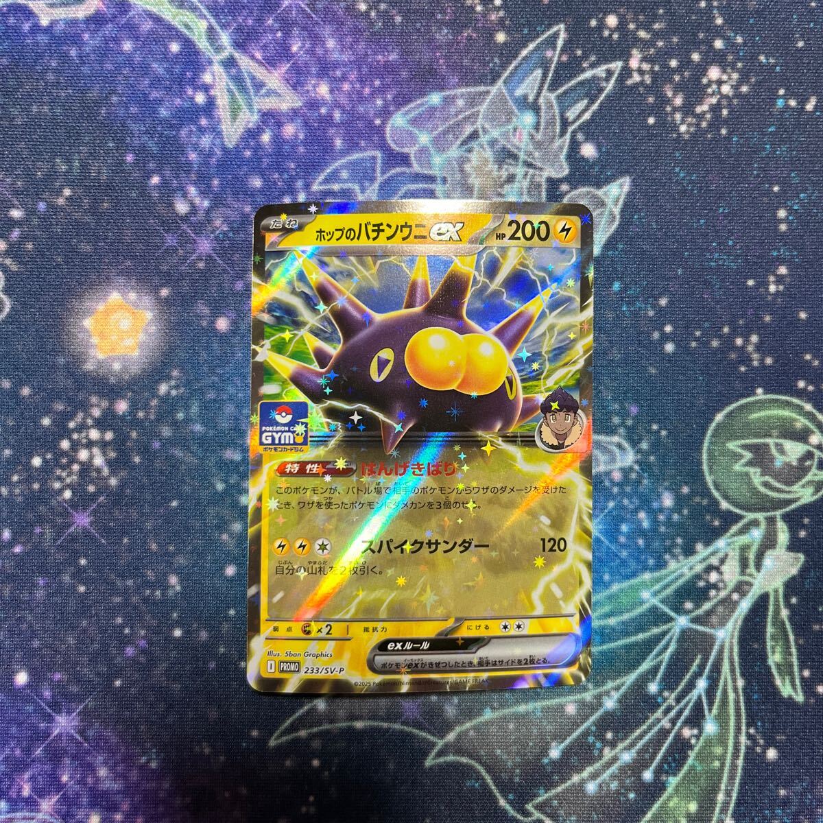 Yahoo!オークション -「ポケモンカード バチンウニ」の落札相場 Yahoo!オークション -「ポケモンカード バチンウニ」の落札相場