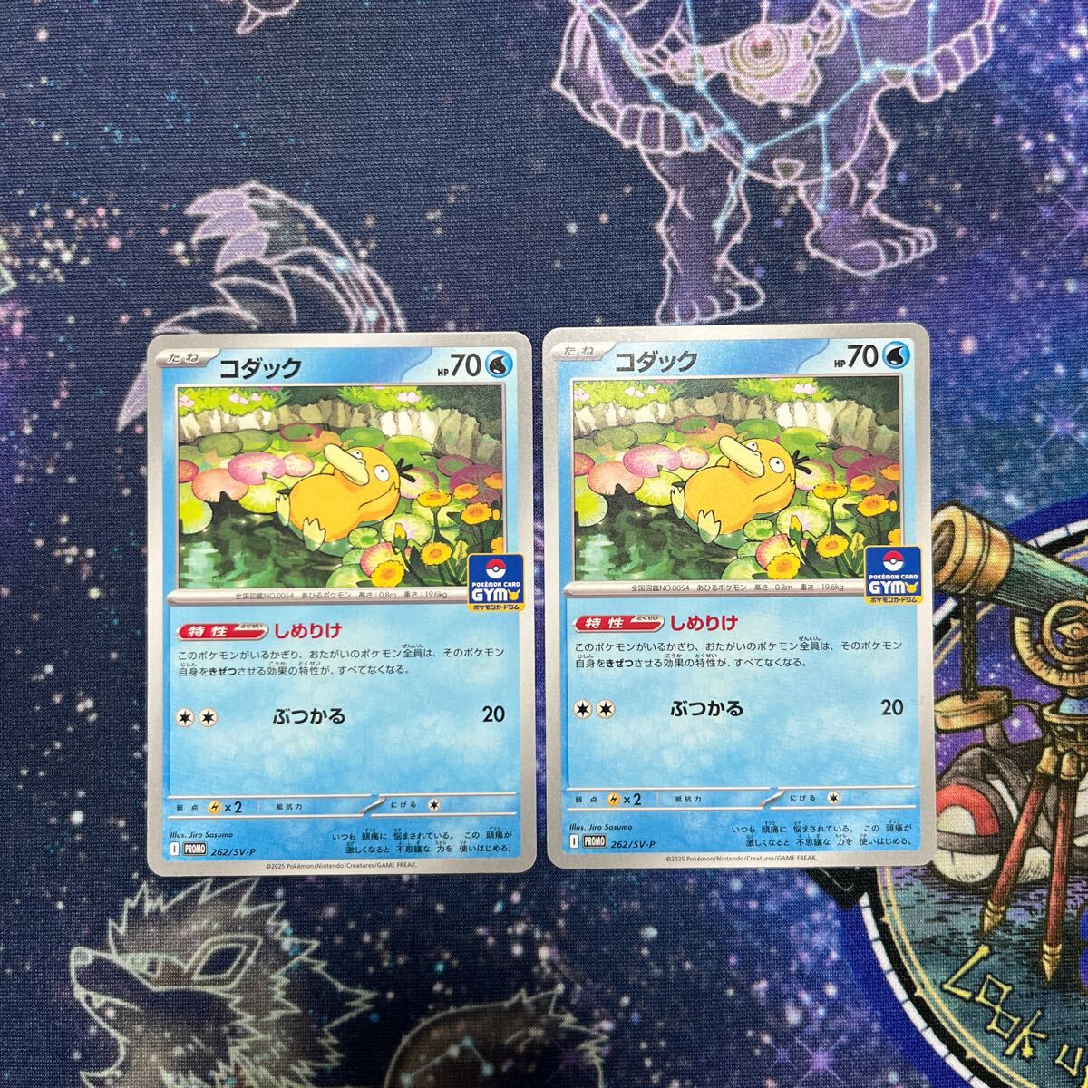 2025年最新】Yahoo!オークション -ポケモンカード プロモ 2025年最新】Yahoo!オークション -ポケモンカード プロモ