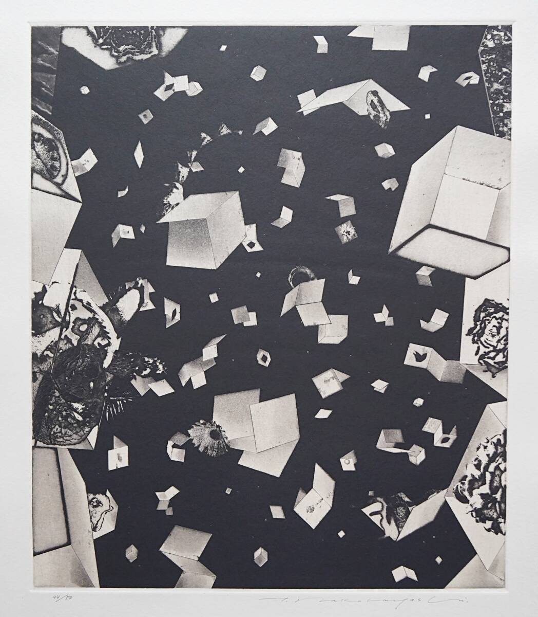 Yahoo!オークション -「中林忠良」(銅版画、エッチング) (版画