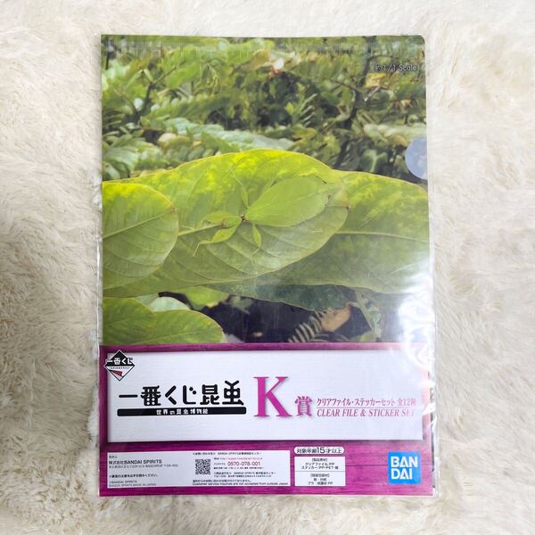 一番くじ 昆虫 世界の昆虫博物館K賞 クリアファイル ステッカーセット コノハムシ