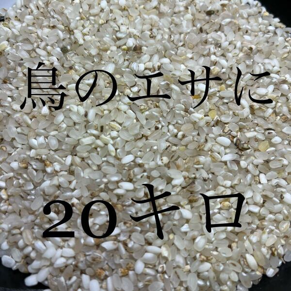 鳥餌 米 飼料/小動物 餌◎10kg×2(20kg)