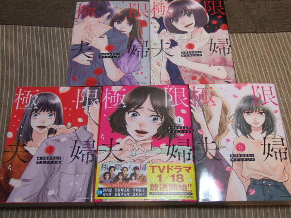 送料込 5冊セット 極限夫婦 きづきあきら サトウナンキ 1巻 2巻 3巻 4巻 5巻 TVドラマ化 離婚 復讐 DV モラハラ 浮気 ギャンブル 依存症