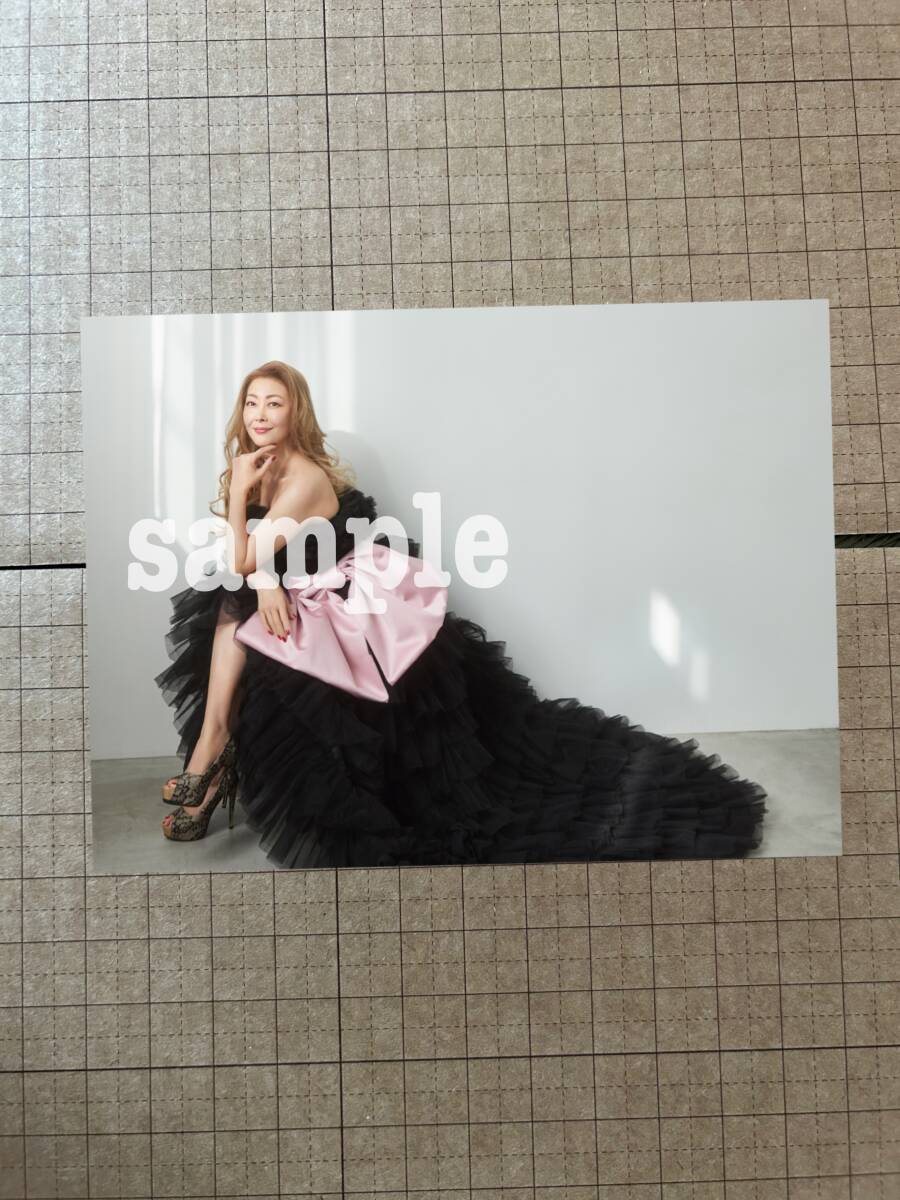2025年最新】Yahoo!オークション -(中山美穂の中古品・新品・未 2025年最新】Yahoo!オークション -(中山美穂の中古品・新品・未