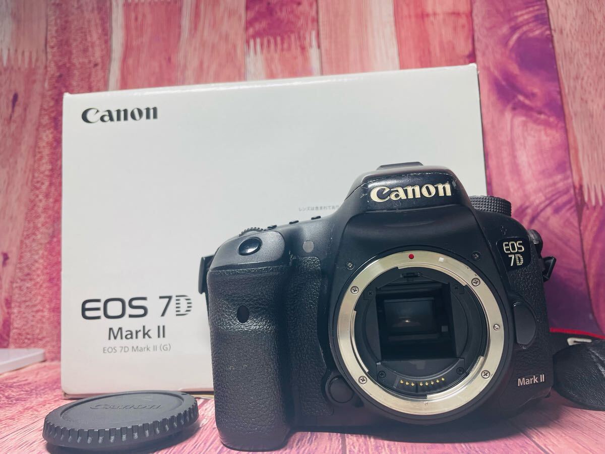 2025年最新】Yahoo!オークション -eos 7d mark iiの中古品・新品 2025年最新】Yahoo!オークション -eos 7d mark iiの中古品・新品