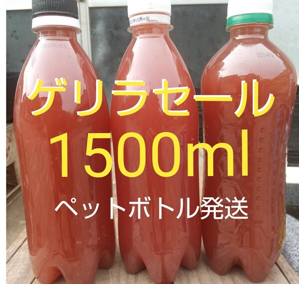 ゲリラセール! PSB (光合成細菌) 1500ml。 ペットボトル発送。めだか ゾウリムシ 金魚 ミジンコ