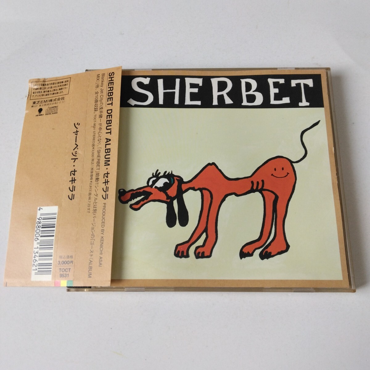 2025年最新】Yahoo!オークション -浅井健一 sherbetsの中古品