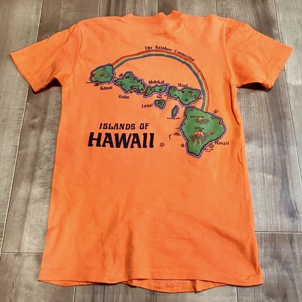 USAビンテージSTEDMANボディHawaiiハワイTシャツ80s90sシングルステッチ
