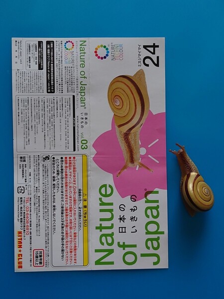 経年品 ネイチャーテクニカラー 日本のいきものVol.03 ミスジマイマイ Nature of Japan 奇譚クラブ 2015年頃購入 300円のガチャ リアル