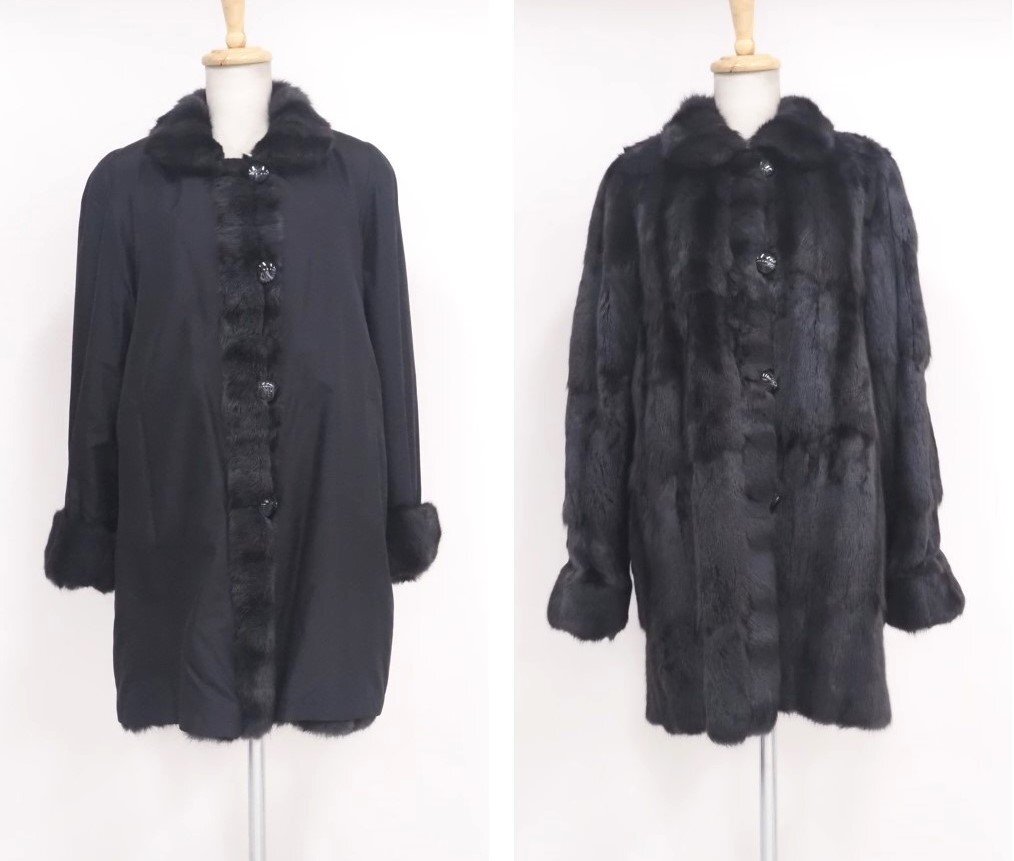 2025年最新】Yahoo!オークション -リス 毛皮の中古品・新品・未 2025年最新】Yahoo!オークション -リス 毛皮の中古品・新品・未