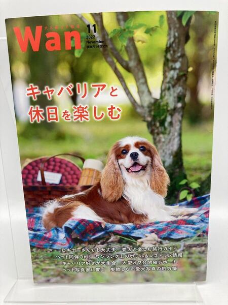 Wan ワン 2022年11月号 キャバリア特集 犬と楽しむ休日 川西玲子 中村真弓【25421-】
