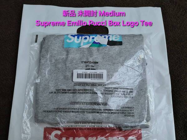 新品 未開封 Supreme Emilio Pucci Box Logo Tee シュプリーム エミリオ プッチ ボックス ロゴ ティー シャツ Medium ミディアム Grey Blue