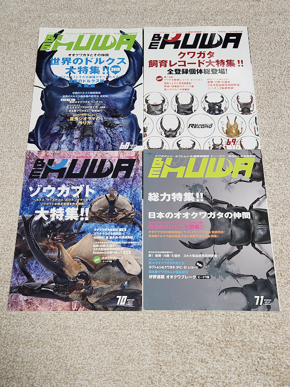 2025年最新】Yahoo!オークション -be-kuwaの中古品・新品・未 2025年最新】Yahoo!オークション -be-kuwaの中古品・新品・未