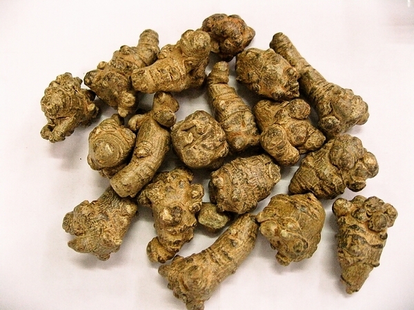 ★送料無料!★ 30頭 田七人参 (三七人参) 雲南省産 200g X 2袋セット