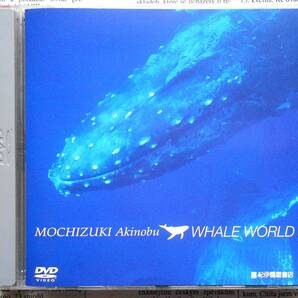 ★2000年DVD「望月昭伸 WHALE WORLD」送込み★送料無料★即決★伝説の日本のクジラ写真の第一人者/プロ水中カメラマン/小笠原沖