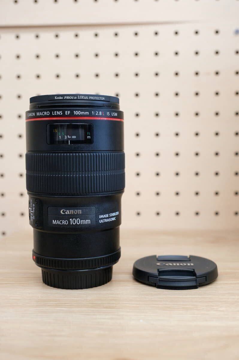 Yahoo!オークション -「canon ef100mm f2.8l マクロ is usm」の Yahoo!オークション -「canon ef100mm f2.8l マクロ is usm」の