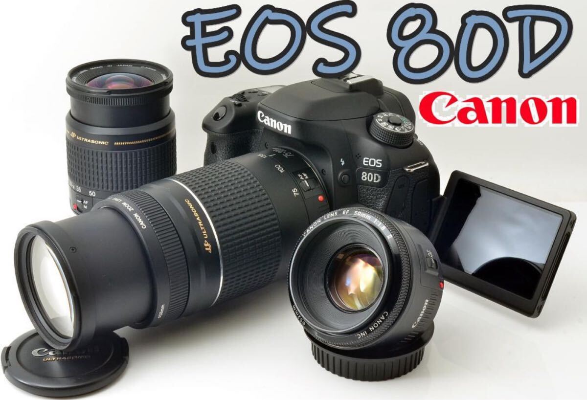 2025年最新】Yahoo!オークション -canon 80dの中古品・新品・未 2025年最新】Yahoo!オークション -canon 80dの中古品・新品・未